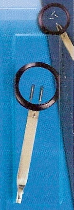 Pinsetit suurennuslasilla, Prym