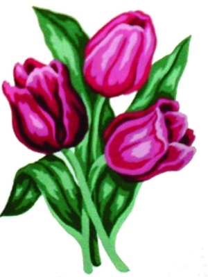 Tulppaanit