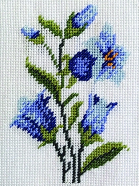 Siniset kukat