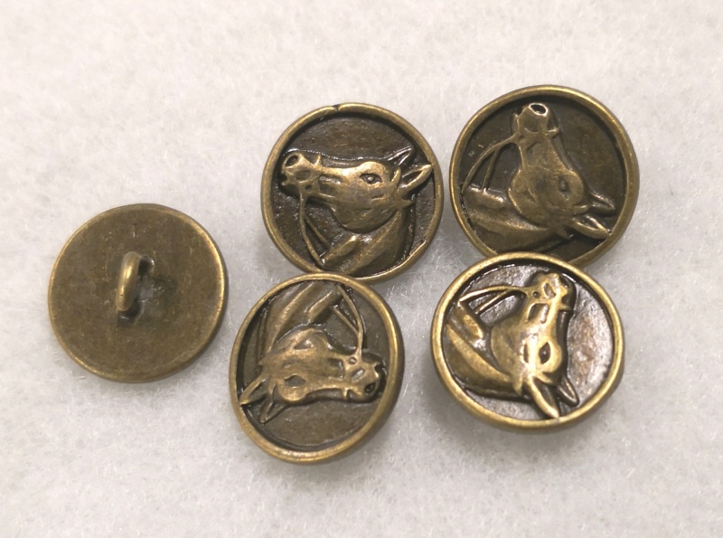 IMG 20260314 125143 edit 3026698048283985